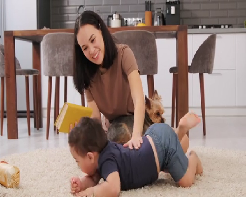 同城代怀生育津贴构成解析：助孕家庭必读指南